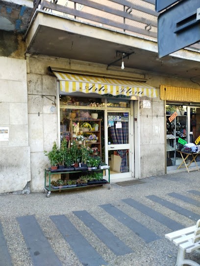 Arte Flora Margren, Fiorista a Roma