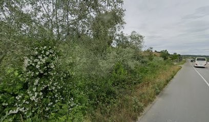 Fiori Da Giuliano, Fiorista a Torano Castello