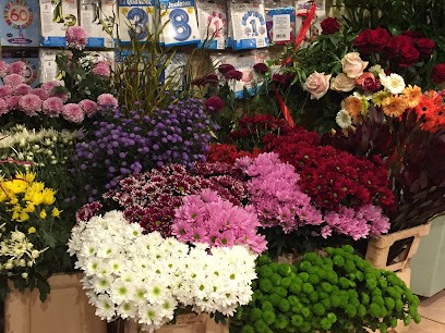 Fioridea Di Attademo Marisa, Fiorista a Borgomanero