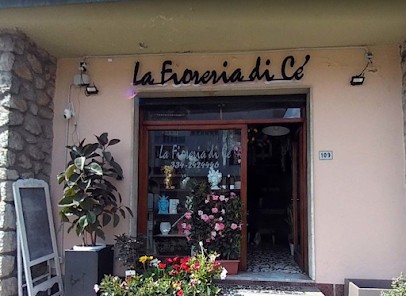 La Fioreria Di Cé Di Battistini Cesare, Fiorista a Massa