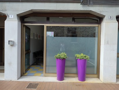 Floricoltura Corsini Società Agricola - S. S., Fiorista a Calcinato