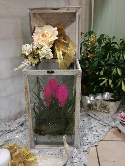 Fiori E Piante La Mimosa Di Bettini C., Fiorista a Fermignano