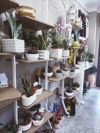 Fiori Cichella, Fiorista a Silvi