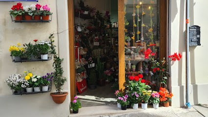 Ebrezza Di Fiori, Fiorista a Livorno