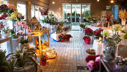 La Piccola Selva Fiori E Piante, Fiorista a Omegna