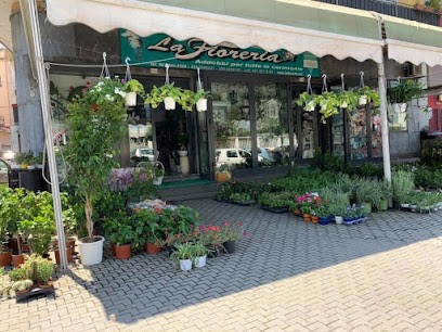 La Fioreria Di Ambrosio A., Fiorista a Pomigliano d'Arco