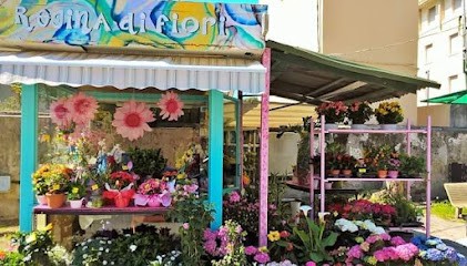 Regina Di Fiori, Fiorista a Livorno