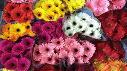 Floreal Bisconti, Fiorista a Palermo