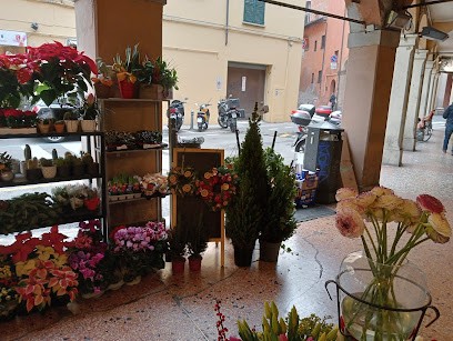 Fantasy Flower, Fiorista a Bologna