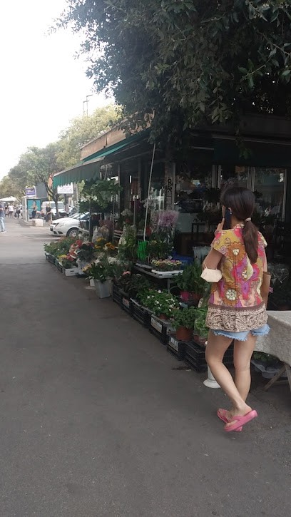 Fioraio Bernabucci, Fiorista a Roma