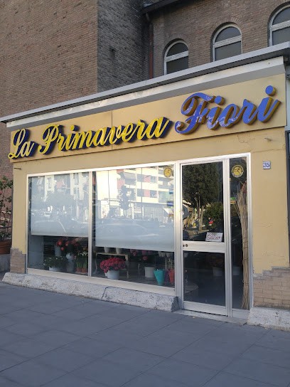 La Primavera, Fiorista a Roma