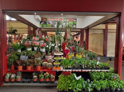 Box N'2 Di Sclafani Antonio, Fiorista a Ventimiglia