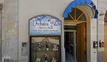 Orchidea Blu, Fiorista a Sant'Arpino
