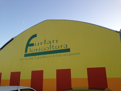 Furlan Floricoltura, Fiorista a San Polo di Piave