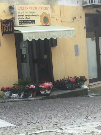 Fioraio Pietro Franco Valerio Garden Vicolo Fiorito, Fiorista a Lagonegro