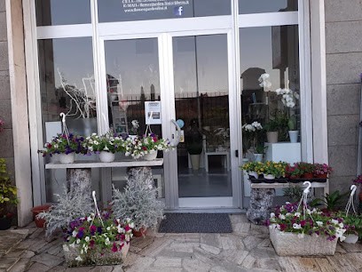 Flower Garden, Fiorista a Viterbo