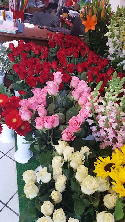 Fiori Di Bellaria, Fiorista a Bologna