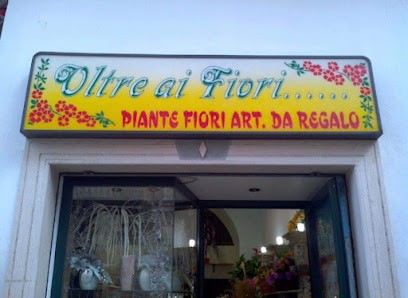 Oltre ai fiori, Fiorista a Paola