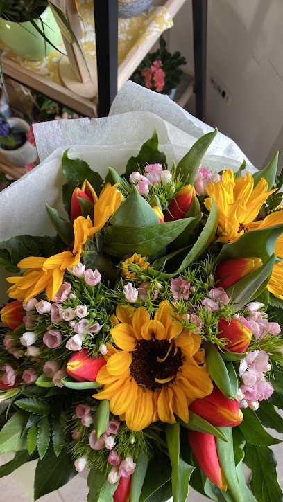 Casa Natura Fiori E Piante, Fiorista a Mogoro