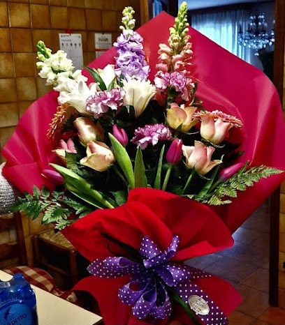 Fioreria Stefania Treviso, Fiorista a Treviso