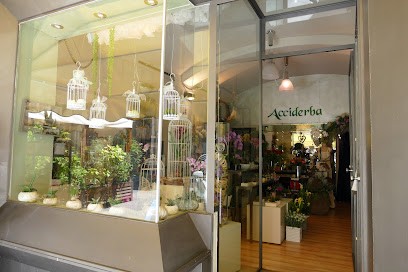 Acciderba-Fiori-Cuneo, Fiorista a Cuneo