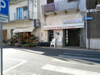 Pacifici Rossana, Fiorista a Viterbo