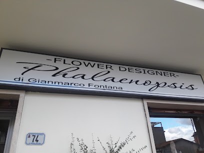 Phalaenopsis & Sognincorso Di Gianmarco Fontana, Fiorista a Frosinone