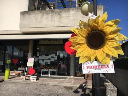 Sangiele La Bottega Dei Fiori, Fiorista a Rovigo
