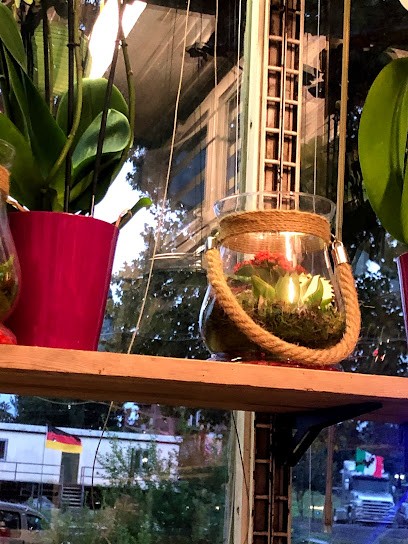 Asso Di Fiori Di Valerio Olivieri, Fiorista a Roma