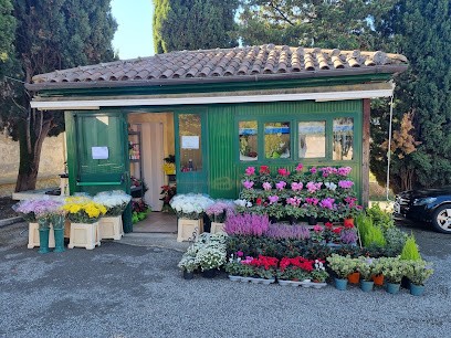 I Fiori di Michela, Fiorista a Cittaducale