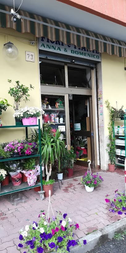 Fiori E Piante Anna Di Giordani Basilia, Fiorista a Roma