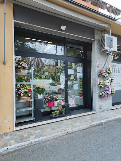 PEPPINA FIORI, Fiorista a Castelfranco Emilia