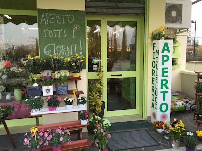 Fioreria Milleluci Di Bisinella Francesca, Fiorista a Rosà