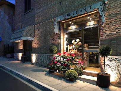 Fiori e Piante Meniconi, Fiorista a Chianciano Terme
