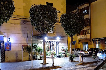 La Primula, Fiorista a Torre Annunziata