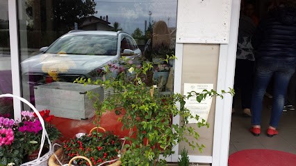 Fioreria Saccon S.a.s, Fiorista a Nervesa della Battaglia