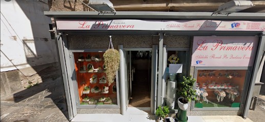 La Primavera Di Russo Mauro, Fiorista a Sant'Antimo