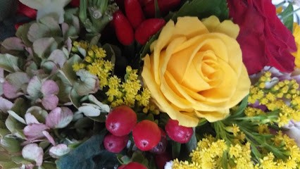 Cardano Fiori, Fiorista a Galliate