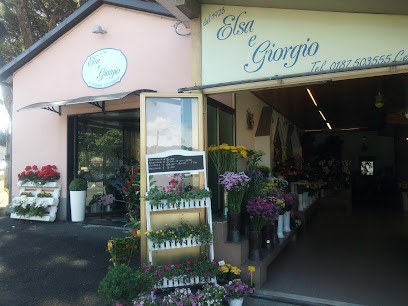 Elsa E Giorgio Snc Di Mandato C. C. - Fiorista, Fiorista a La Spezia