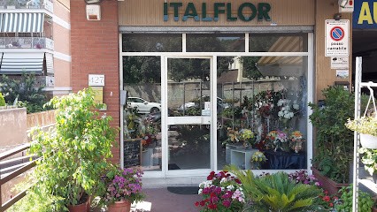 Italflor S.r.l., Fiorista a Roma
