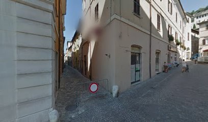 Les Fleurs Di Tauszig Fiori E Decorazioni, Fiorista a Fossombrone