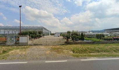 Tagliani Mauro, Fiorista a Codevilla