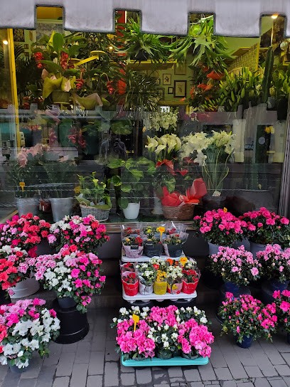 Fioreria Pravisani Di Piero, Fiorista a Udine