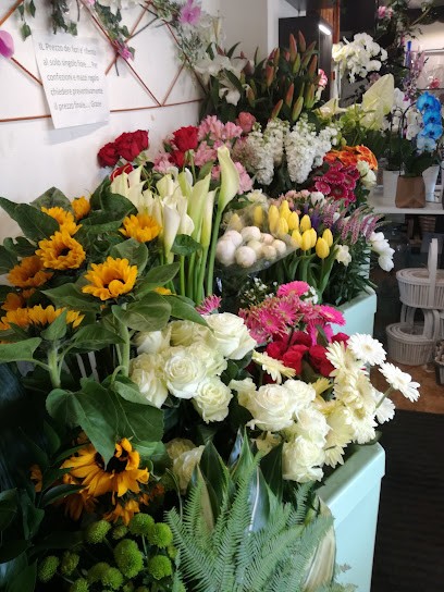 Petali & Pensieri, Fiorista a Riccione