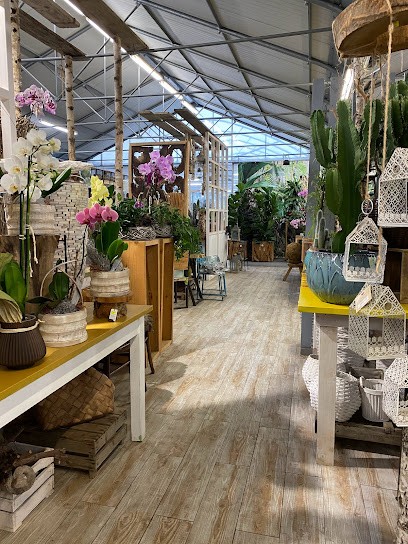 Ortofloricola Sala Angelo, Fiorista a Pontevico