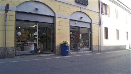 Il Bouquet Fiori Di Zanarotti Claudia, Fiorista a Concorezzo