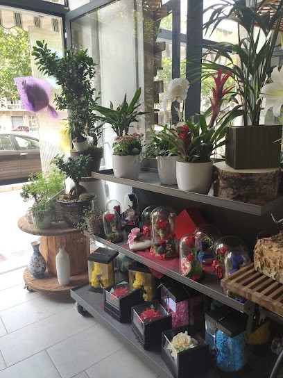 Katia Fiori, Fiorista a Torino