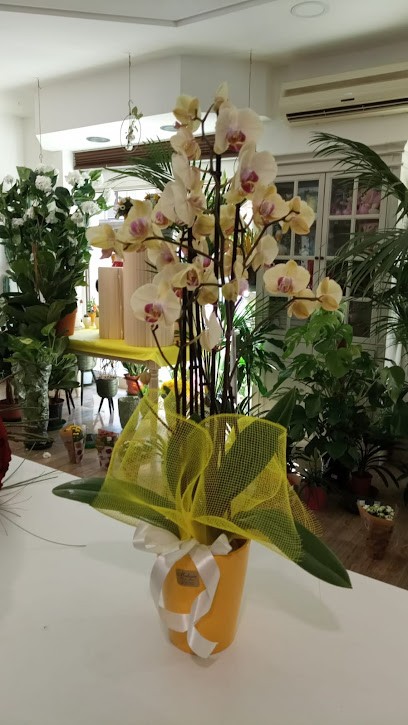 Malizia Anna, Fiorista a Caltagirone