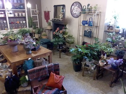 Flora-Fiori E Piante, Fiorista a Lecco