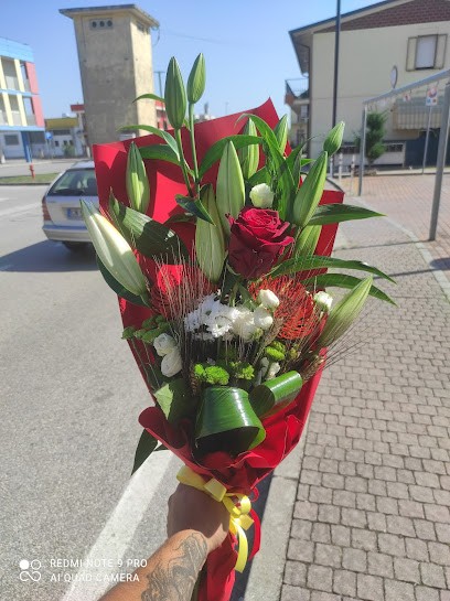 Fioreria La Magnolia, Fiorista a Tribano